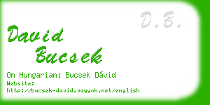david bucsek business card