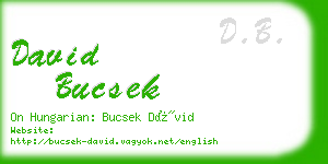 david bucsek business card